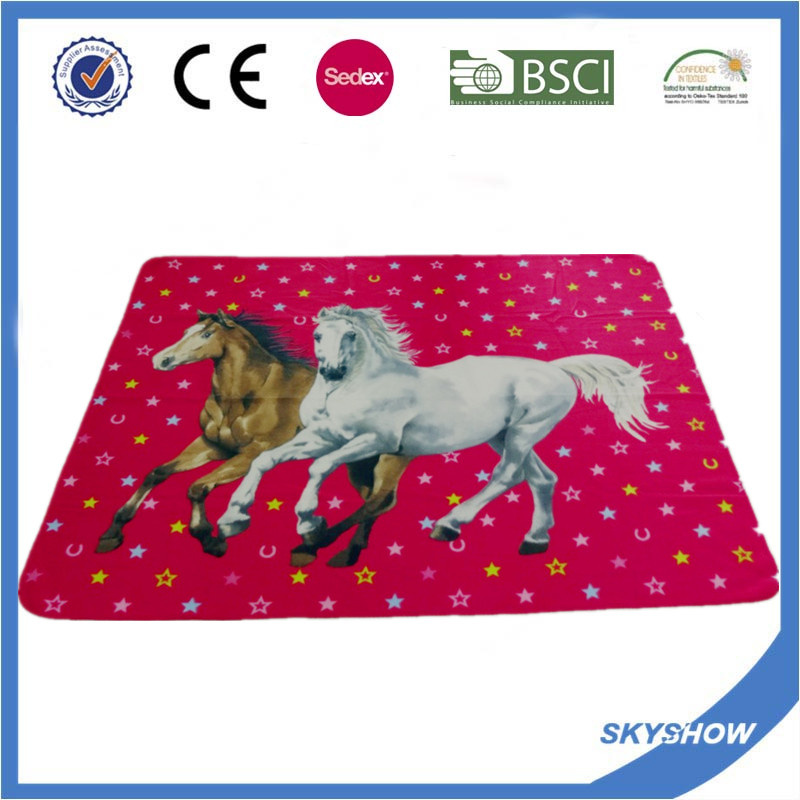 Full Color Printing 100% Polyester Polar Fleece Blanket (SSB0209)