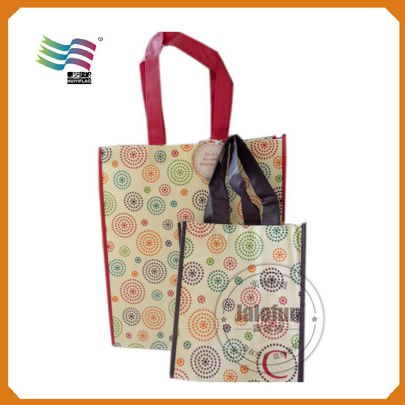 PP Woven Bag Foldable Shopping Bag (HYbag 007)