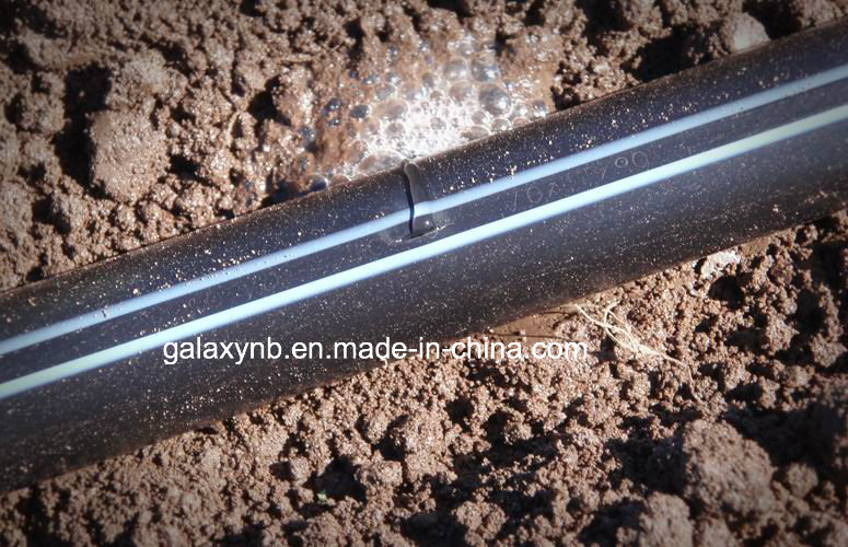 Drip Tape with Double Line for Irrigation