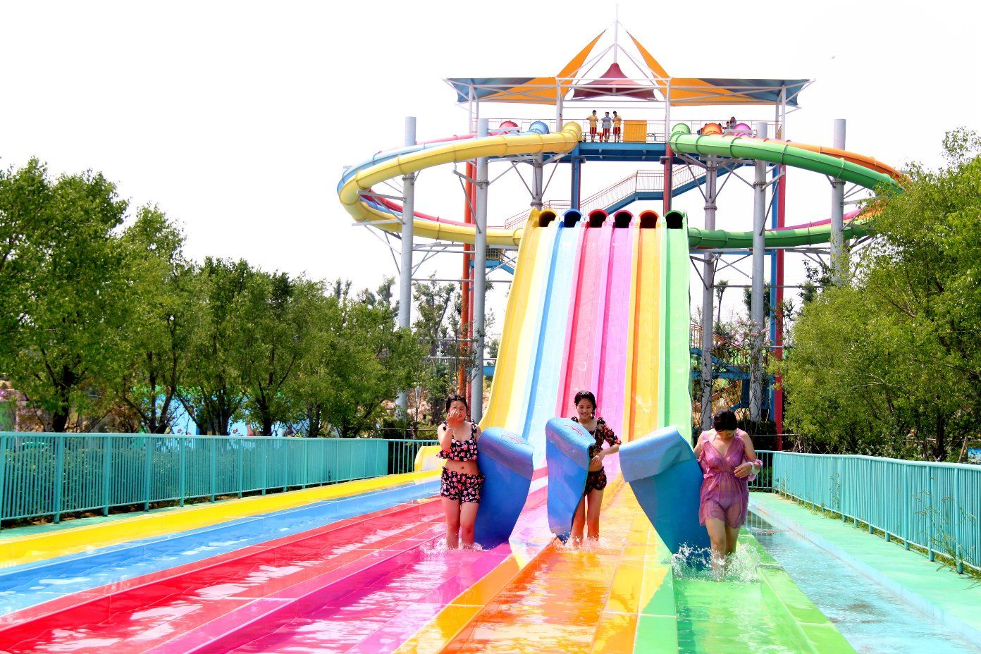 Slip Carpet Octopus Water Slide, Big Water Amusement Park Equipment (DL051)