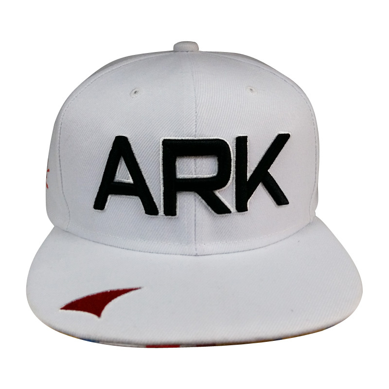 Hot Sale Snapback Baseball Cap with Front Logo Gjfp17174