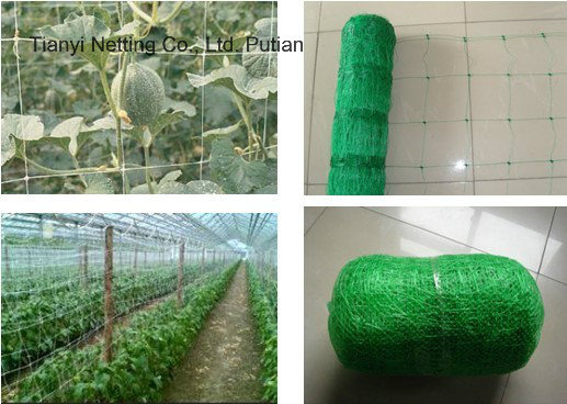 Garden Net