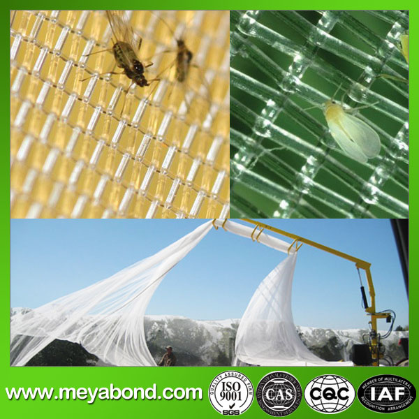 Agricultural Fabric HDPE Anti Insect Net with UV Stabilized