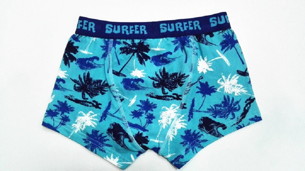 New Print Design Children Underwear Boy Boexr Short Boy Brief with Eco Permit