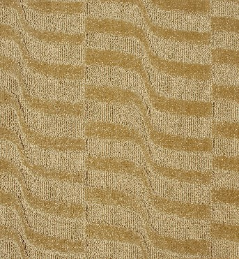 Cut and Loop Pile Carpet (8E206)
