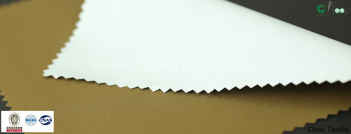100% Nylon 260t Full-Dull Pongee for Winter Coat Fabric