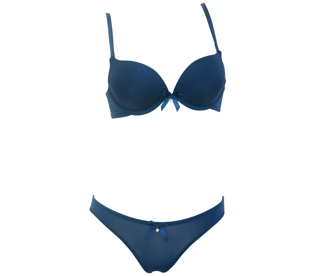 Factory Price Comfortable Push up Bra and Brief (EPB271)