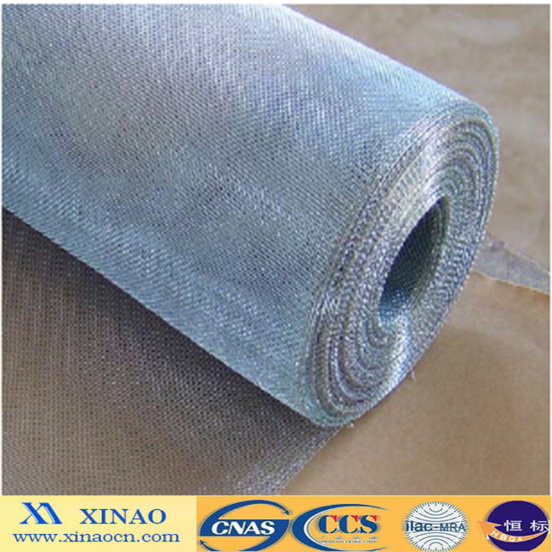 Electro Galvanized Window Wire Netting (XA-WS6)