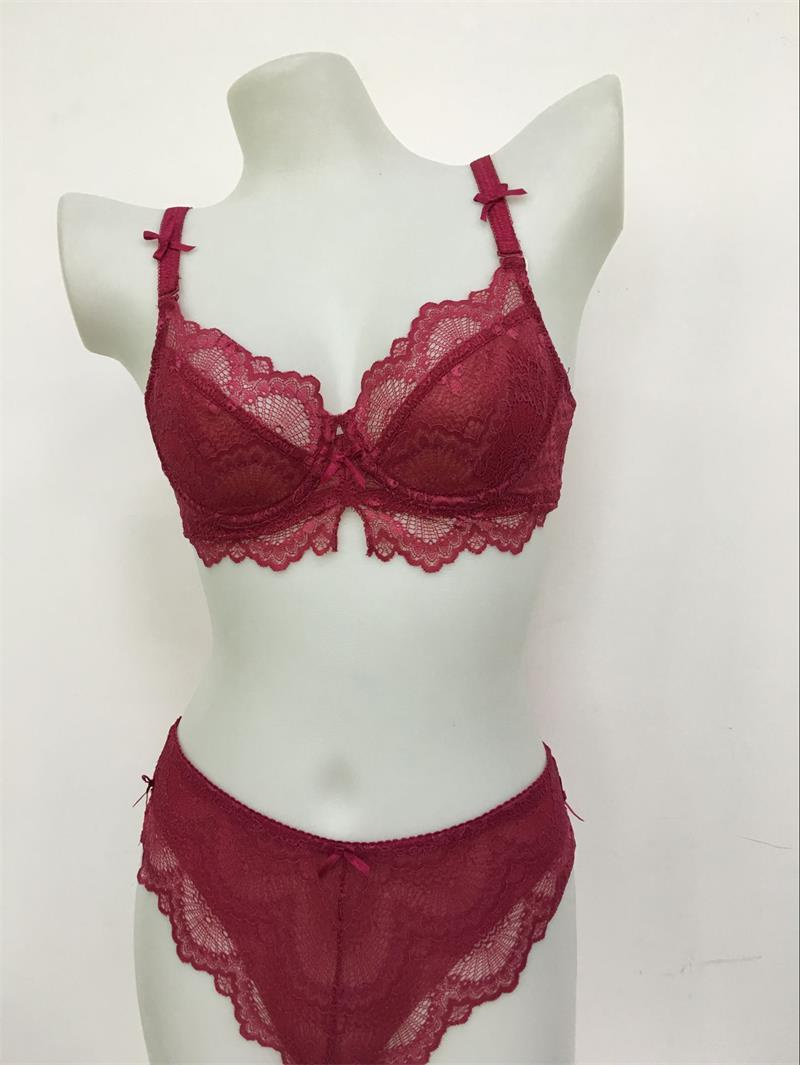 2016 New Design Special Lace Bra Lingerie for Ladies (CS36111)