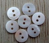 Fashion Customized Shell Button for Man, Woman and Kids Garment