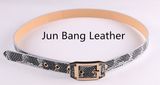 Classic PU Belt in High Quality for Women