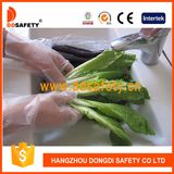 Ddsafety 2017 HDPE PE Disposable Glove