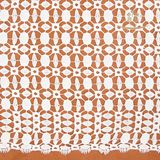 Nylon Lace Fabric for Beauiful Dress
