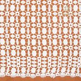 Nylon Lace Fabric for Beauiful Dress