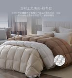 Wholesale White Down Quilt Duvet Supply From Factory