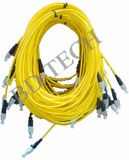 Optical Fiber Patch Cords