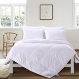 Wholesale Colorful Comforter Sets Bedding