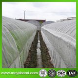 Green Vegetable Plants Trellis Insect Nets