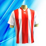 100% Polyester Man's Short Sleeve Soccer Jersey