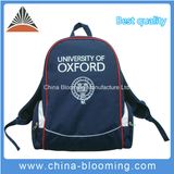 Comfortable Travel Leisure Sports Laptop Computer Adults Backpack Bag