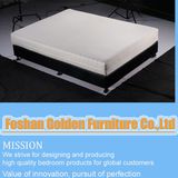 Mattress (8845)