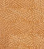 Cut and Loop Pile Carpet (8E102)
