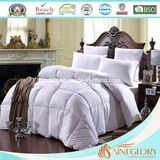 China Supplier Winter Season Microfiber Firm Filling Polyester Comforter