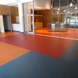 Sport Vinyl Flooring for Public Space