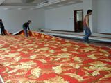 Polyester Printed Floor Carpet for Hotel Ground