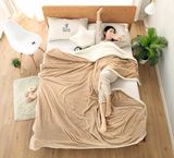 Winter Plain Sherpa Blanket / Soft Bedding