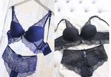 Elegant Embroidery and Lace Underwear Bra and Panty (FPY332)