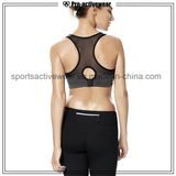 OEM Free Sample Sports Wear Push up Bra Wholesale Sports Bra