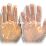 Food Grade Vinyl Disposable Gloves in High Quality