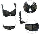 Beautiful Lace Underwear Set for Women (FPY317)