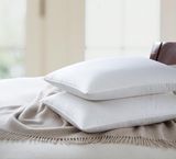 Goose Luxurious Fashion High Quality Soft Skin Down Pillow