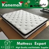 New Arrival Double Pillow Top Mattress