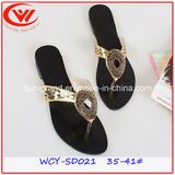 New Fashion Strap Upper Women Sandals Shoes