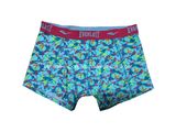 Allover Print New Style Men's Boxer Short Underwear