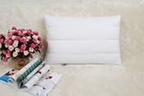 Whole Sale TPE Tube Antibacterial Pillow