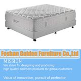 Fashion Sleepwell Mattress