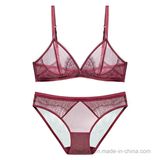 2017 New Transparent Ladies Lingerie Set