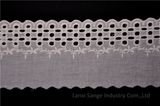 High Quality Cotton Lace (3569)