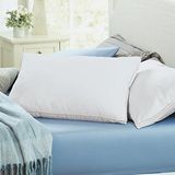 Better Than Down Standard Pillows