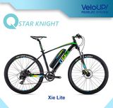 Good Quality Mountain E-Bike Stealth Bomber Cool Men Motor Bike