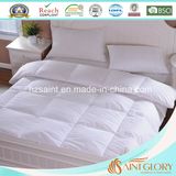 Hotel Snow White Microfiber Filling Polyester Comforter