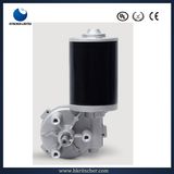 High Torque Electric Motor for Model/Massage Cushion/Central Lock