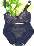 Sexy Lace Push up Bra and Panty Set (CS60118)