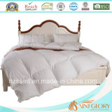 Best Selling Down Quilt White Goose Feather and Down Comforter