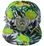 Flat Embroidery Snapbak Cap Hat with Printing