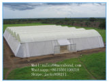 Anti Insect Netting for Multi Span Greenhouse